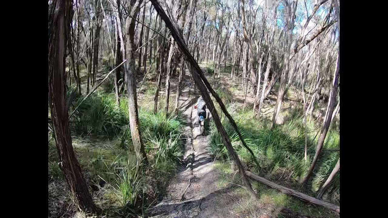 STH West Victoria - single trail