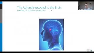 Beyond Adrenal Fatigue Reframing our Understanding of Stress and the HPA Axis by Doctor’s Data Inc. 410 views 6 months ago 46 minutes