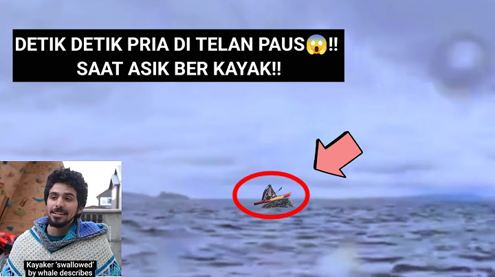 seram!! detik detik seorang ayah melihat anaknya di telan paus 😱!!