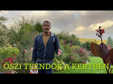 Videó: A Kertészek őszi ügyeit