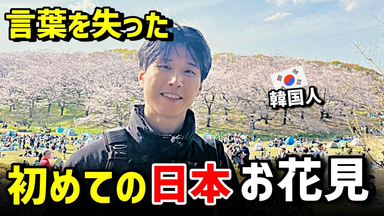 人生初｜日本桜の森で言葉を失った韓国人｜人生で一番感動した景色