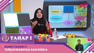 Tahap I (2022) | Sains (Tahun 1): Tubuh Manusia Dan Deria