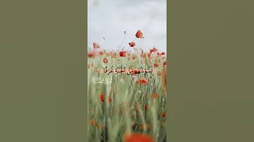 ۞سورة العنكبوت ۞ {58—59}| القارئ رعد الكُردي