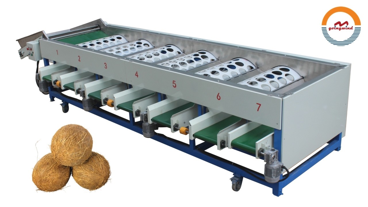 Automatic Coconuts Size Grading Sorting Machine Auto Industrial Dry Coconut Sorter Grader Equipment