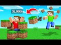 I Can CONTROL DIRT BLOCKS In MINECRAFT (Mod)