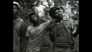 Burning Spear - Don't Kill The Lion - Live.wmv