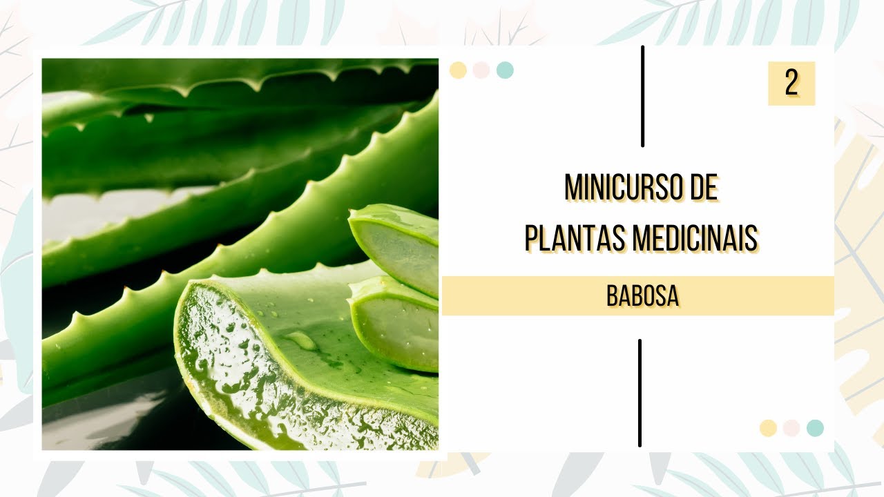 [Vídeo 2] Minicurso de Plantas Medicinais: Babosa - YouTube