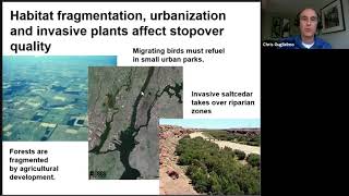Understanding Stopover and Movement of Migratory Birds
