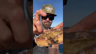 Barnacle Chronicles #friendliestcatch #barnacleremoval