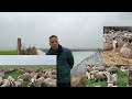 1500 نعجة صردية تعيش فوق 140 هكتار مسقية  🐑 في ضيعة فريد المزابي ANOC 2026