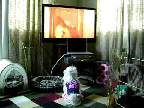 Diamond Love TV