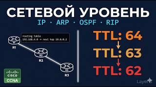 Сетевой уровень OSI с нуля: IP, маршрутизация, ARP, OSPF, RIP — полный разбор - remastered