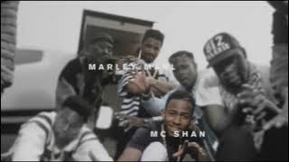 The Bridge Don Fresh Impeach Science Officer Spock Remix Clean MC Shan 1986  