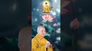 Lời dạy Phật Pháp Thầy Pháp Hòa