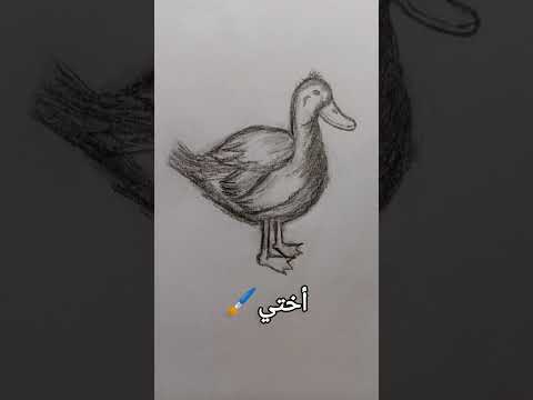 اناواختي Art Drawing كوميديا Shorts تحديات تحدي Challenge رسم Fypシ رسمتي رسامه لايك الله