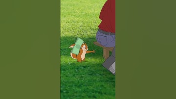 A Picky SQUIRREL animation. Do you trust squirrels? #shorts #animation #comedy #funnyanimals 🐾