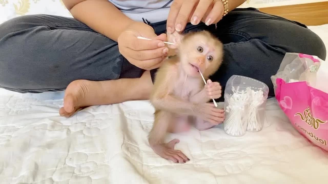 Obedient DAM Let Mommy Clean His Earwax After Bathing