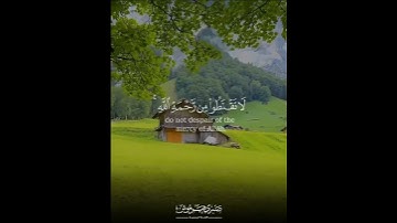🌹تلاوة خاشعة من سورة الزمر القارئ فيصل الهاجري🌹
