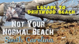 Things to do at Edisto Beach | Must See | Botany Bay Driftwood Beach