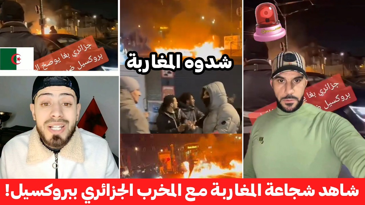 جزائري حاول إفساد حفل المغاربة ببروكسيل وشعل النار🔥 لكن أسود الأطلس لقنوه درساً وللشرطة سلموه!👮‍♂️