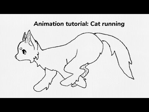 Cat running animation study with tutorial