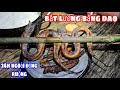 Sang Vlog - Bắt Lươn Bằng Dao | Thử Thách 24h Ngoài Đồng Ruộng