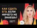 Как сдать ЕГЭ по биологии, если ничего не знаешь?