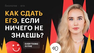 Как сдать ЕГЭ по биологии, если ничего не знаешь?