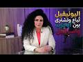سلمى الحاج قوة خاصة ت عد في أمريكا لنزع سلاح الحزب والجيش في الواجهة 