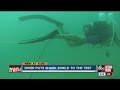 Diver puts shark shield to the test