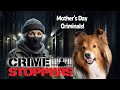 Dark secrets of mothers day criminals  on the cricket chronicles e347