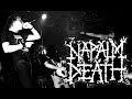 The Guitars of Napalm Death:  Harmony Corruption Suffer The Children