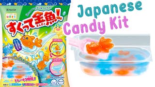 Japanese Jelly Candy Making Kit Sukutte Kingyo Play Dfish Scooping