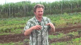 Know Your Farmers:  Oko‘a Farms, Kula