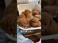 トイプードル子犬みんな1ヶ月になりました( #トイプードル子犬 #飼い主募集中 #トイプードル赤ちゃん )