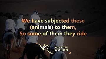 خداوند حیوانات را مطیع انسان قرار داد. سوره یاسین، آیات ۷۱ تا ۸۳، رعد محمد الکردی