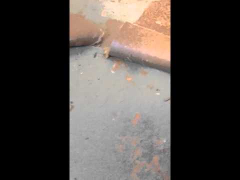 removing-vinyl-flooring-glue-and-paper-backing-with-sss