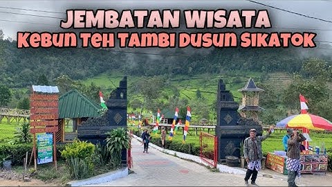Keindahan Wisata Alam Kebun Teh Tambi Wonosobo Jawa Tengah