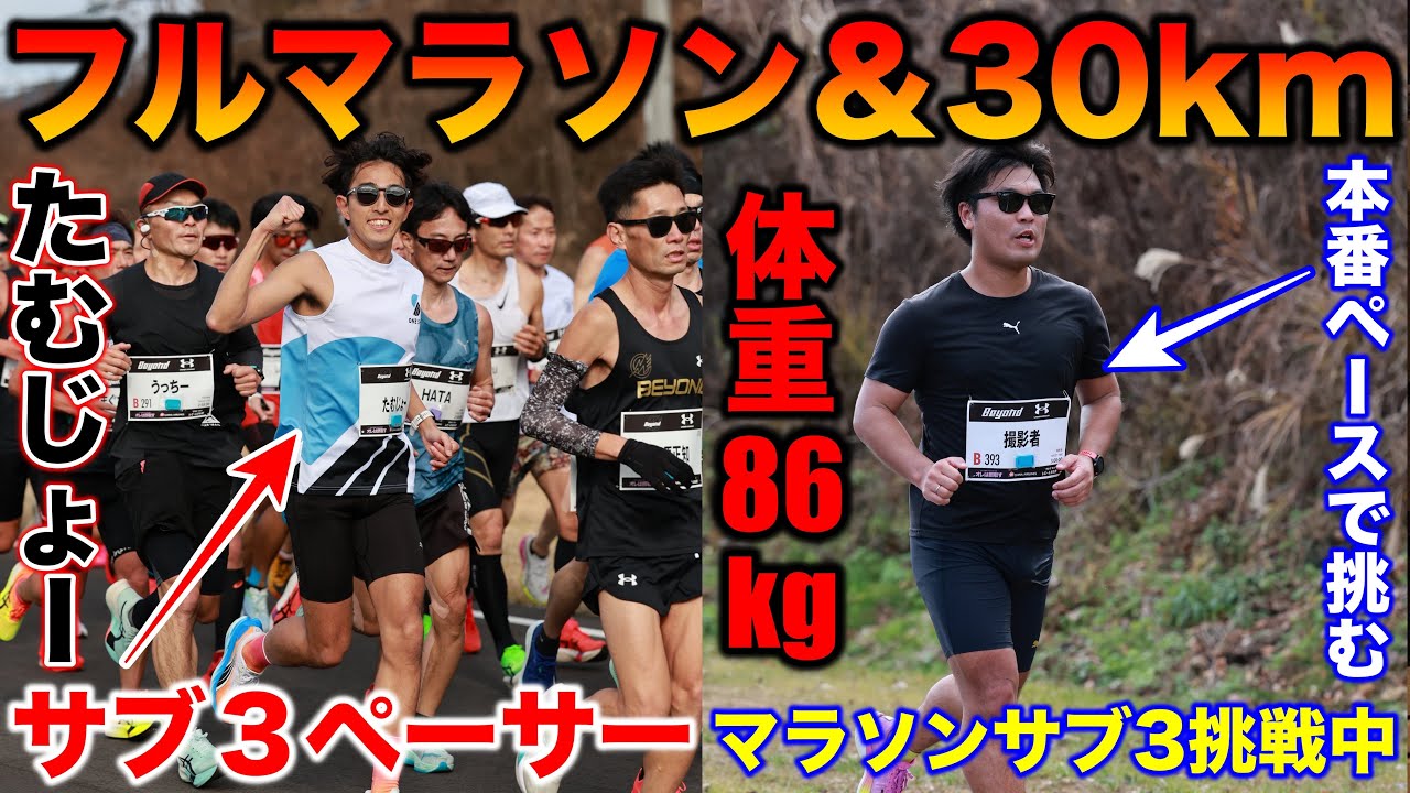 【年末】体重86kgがサブ3ペースで30kmに初挑戦！たむじょーのサブ3ペースリーダーに何km付いていけるか？#フルマラソン #marathon #ランニング 