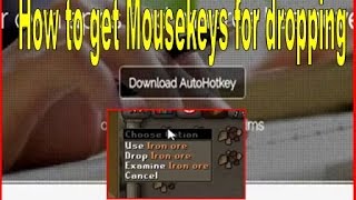 How to get Mousekeys for Oldschool RuneScape