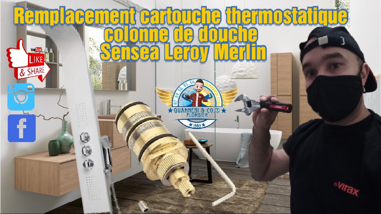 CARTOUCHE THERMOSTATIQUE SENSEA Leroy Merlin 