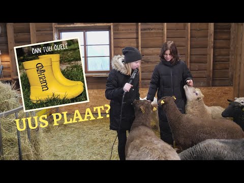 Video: Kas blm maad saab müüa?