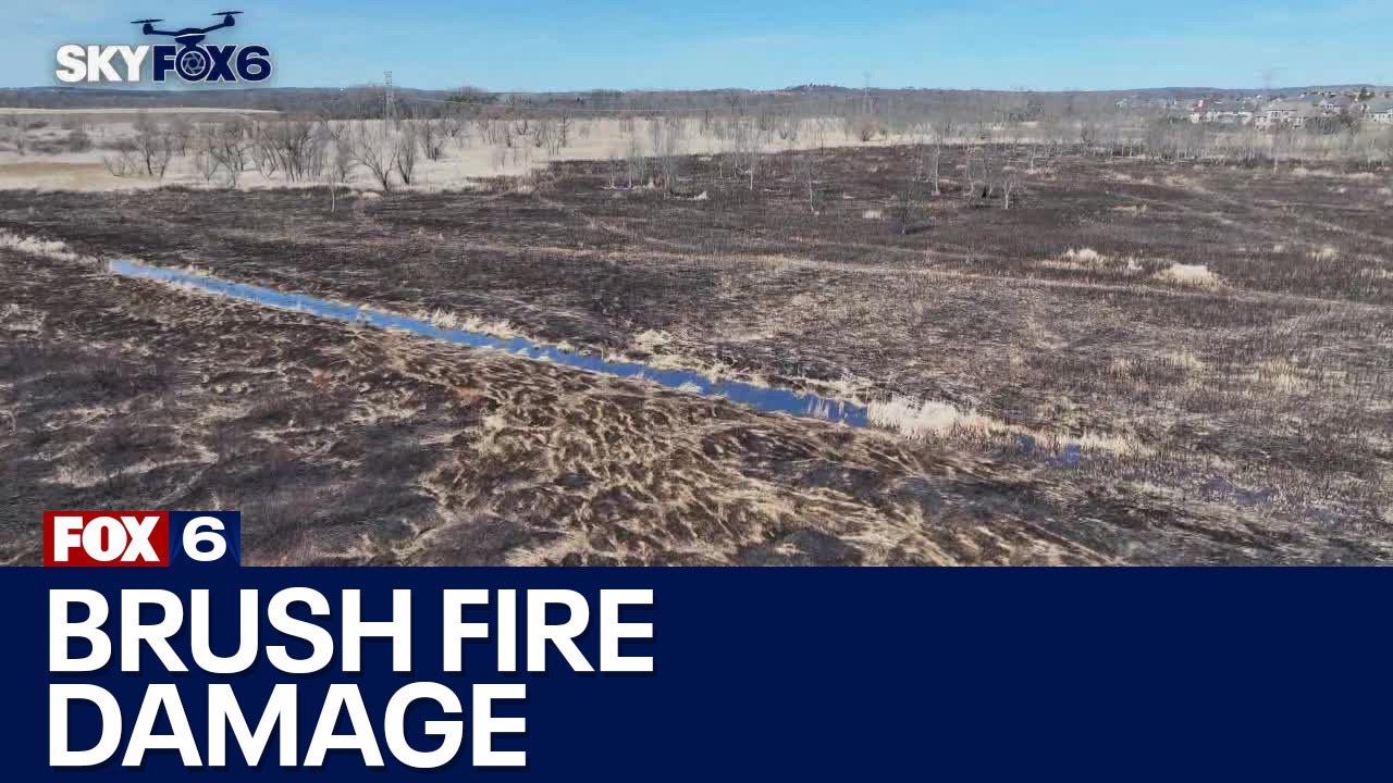 Brookfield brush fire; assessing damage, future prevention | FOX6