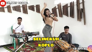 selingkuh koplo bajidor || v3_mpit