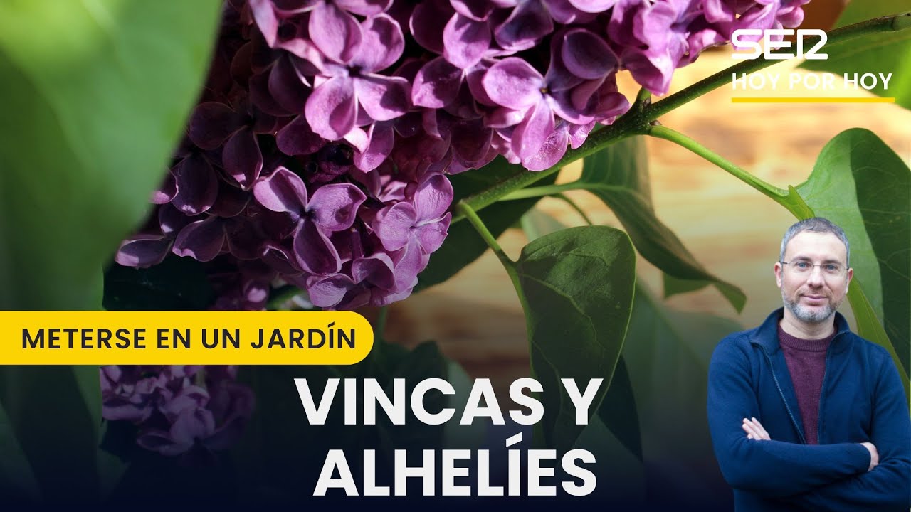 🌸 Vincas y alhelíes | Meterse en un jardín