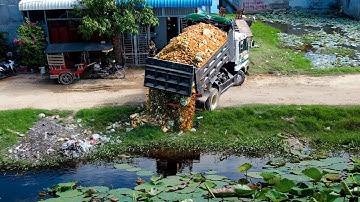 Wonderful Landfill Task Mix! Skills Driver Dozer D20A KOMATSU Pushing Stone with 5Ton Truck