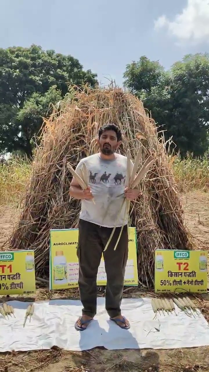 बाजरा के लिए कौन सी खाद फायदेमंद,अजमेर के किसान ने क्या बताया | वनइंडिया हिंदी