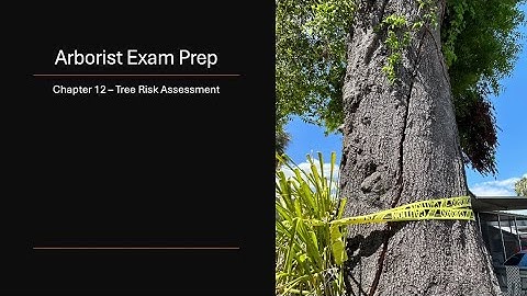 Arborist Exam Prep: Chapter 12 - Tree Risk Assessment