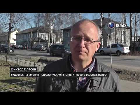 Городское ТВ. "В объективе Вельск". Где быть новому полигону ТКО? Гульнара Нетёсова.