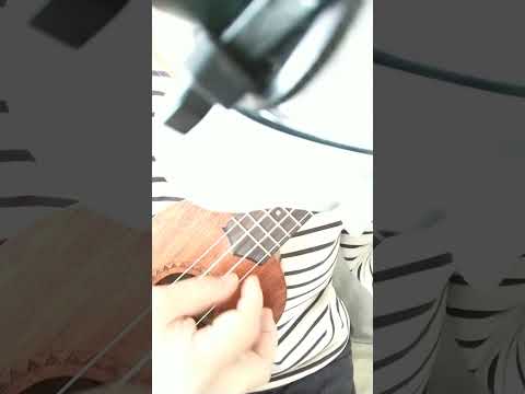 🎶Ｍ🎶プリンセス プリンセス ウクレレ弾き語り